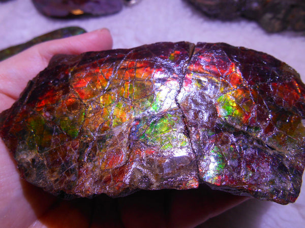 Double-Sided Rough Natural Display Ammolite Stone 112 x 53 x 35 mm - RS-7 両面カラー 原石 ディスプレイ アンモライト