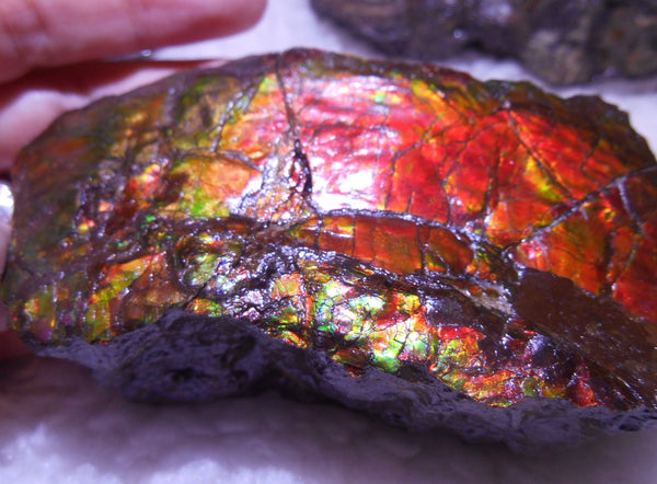 Double-Sided Rough Natural Display Ammolite Stone 112 x 53 x 35 mm - RS-7 両面カラー 原石 ディスプレイ アンモライト