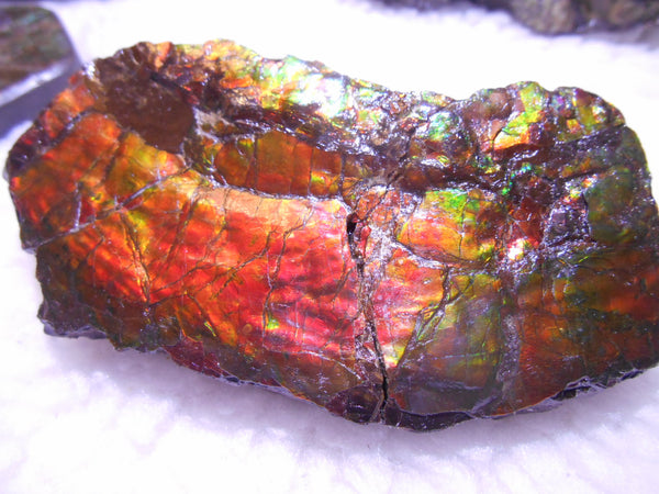 Double-Sided Rough Natural Display Ammolite Stone 112 x 53 x 35 mm - RS-7 両面カラー 原石 ディスプレイ アンモライト