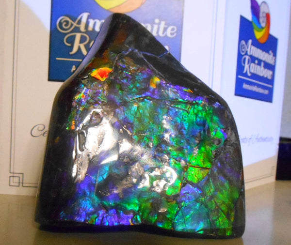 115x 100x 93 mm　Rare Natural Huge -Four-Sides Collector Stone  CS-86 レア4面カラー ナチュラル　コレクション　ディスプレイピース