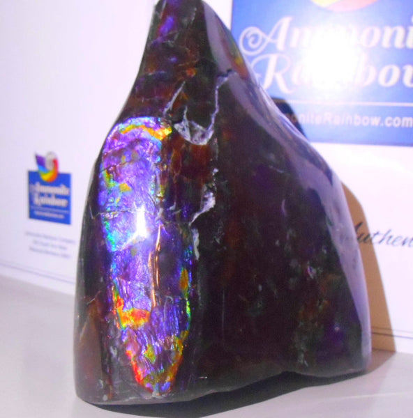 115x 100x 93 mm　Rare Natural Huge -Four-Sides Collector Stone  CS-86 レア4面カラー ナチュラル　コレクション　ディスプレイピース