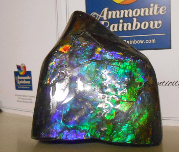 115x 100x 93 mm　Rare Natural Huge -Four-Sides Collector Stone  CS-86 レア4面カラー ナチュラル　コレクション　ディスプレイピース