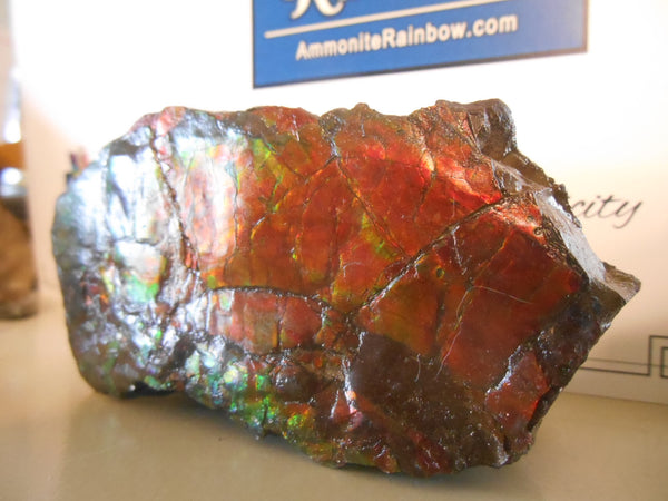 Double-Sided Rough Natural Display Ammolite Stone 112 x 53 x 35 mm - RS-7 両面カラー 原石 ディスプレイ アンモライト