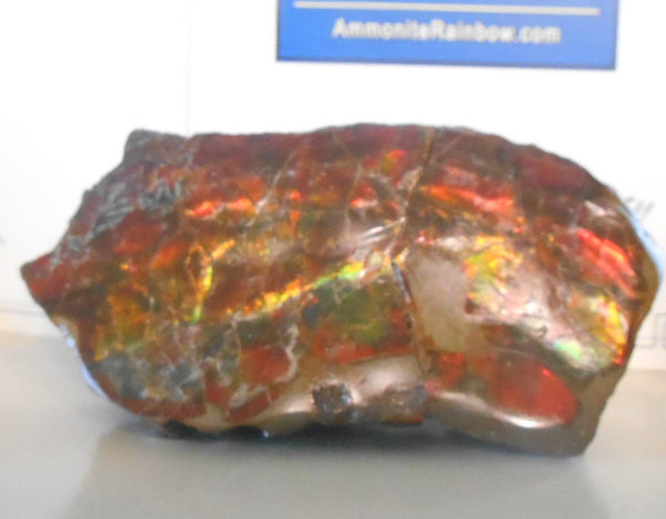 Double-Sided Rough Natural Display Ammolite Stone 112 x 53 x 35 mm - RS-7 両面カラー 原石 ディスプレイ アンモライト