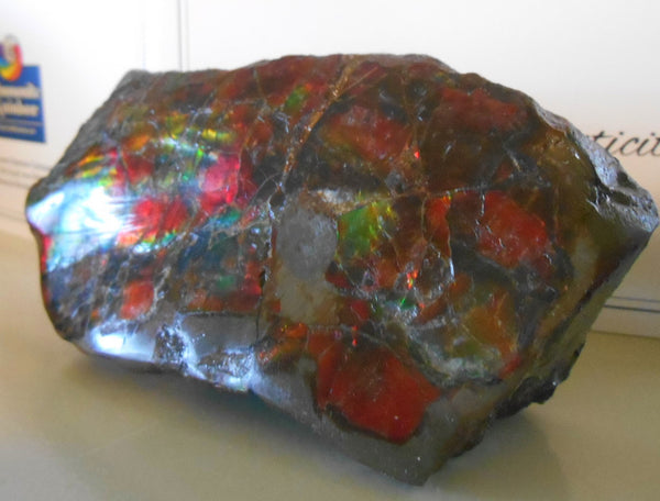 Double-Sided Rough Natural Display Ammolite Stone 112 x 53 x 35 mm - RS-7 両面カラー 原石 ディスプレイ アンモライト