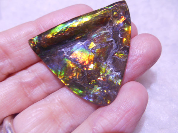 38  x 33  mm  - Natural Edge　Free Form FFN 203  Ammolite ナチュラル　ルース　アンモライト フリーフォーム