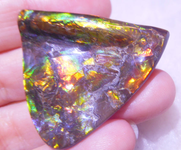 38  x 33  mm  - Natural Edge　Free Form FFN 203  Ammolite ナチュラル　ルース　アンモライト フリーフォーム