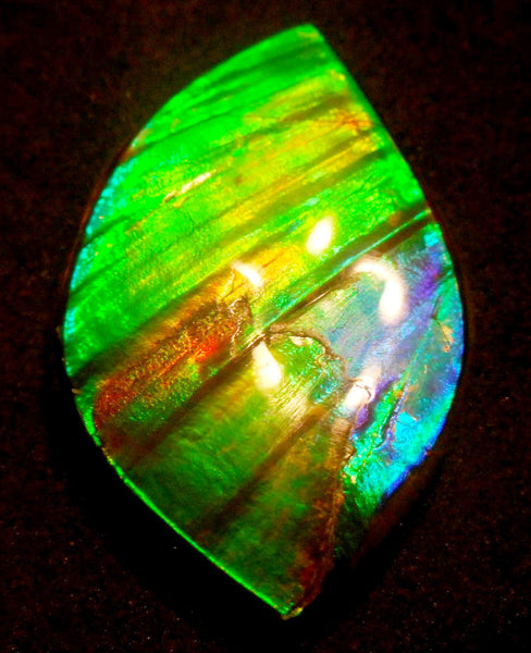 50.5 x 33 x 6  mm  - Large AA Grade Natural  Free Form  FFN 214  Ammolite  AAグレード ナチュラル　ルース　アンモライト フリーフォーム