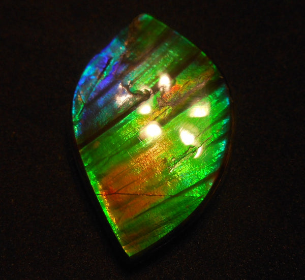 50.5 x 33 x 6  mm  - Large AA Grade Natural  Free Form  FFN 214  Ammolite  AAグレード ナチュラル　ルース　アンモライト フリーフォーム