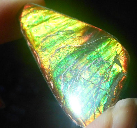 41 x 22 mm - Natural Free Form FFN 91 Ammolite　　ナチュラル　ルース　アンモライト