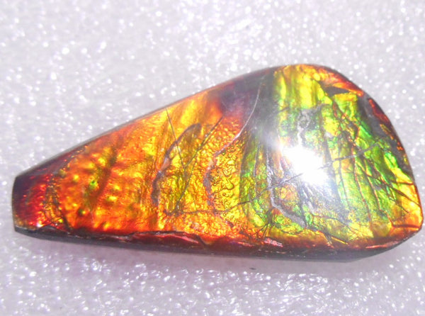 41 x 22 mm - Natural Free Form FFN 91 Ammolite　　ナチュラル　ルース　アンモライト