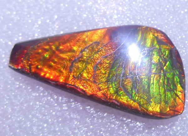 41 x 22 mm - Natural Free Form FFN 91 Ammolite　　ナチュラル　ルース　アンモライト