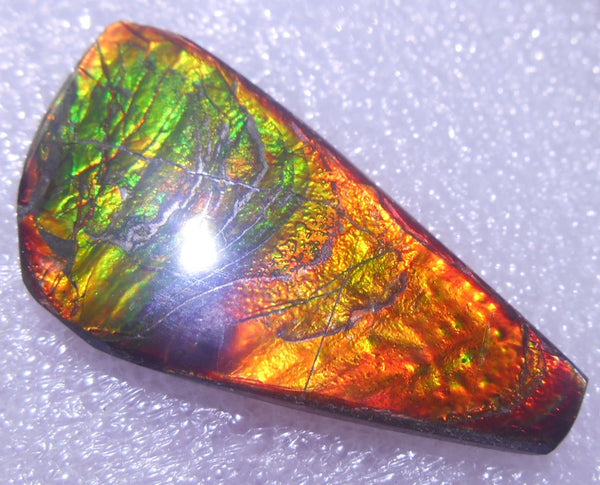 41 x 22 mm - Natural Free Form FFN 91 Ammolite　　ナチュラル　ルース　アンモライト