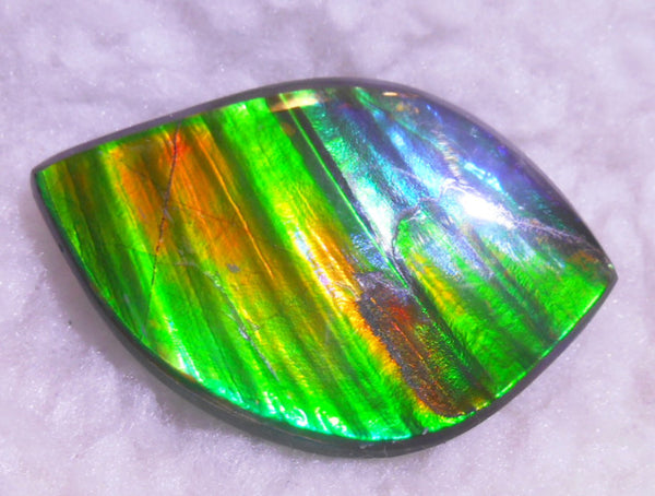 50.5 x 33 x 6  mm  - Large AA Grade Natural  Free Form  FFN 214  Ammolite  AAグレード ナチュラル　ルース　アンモライト フリーフォーム
