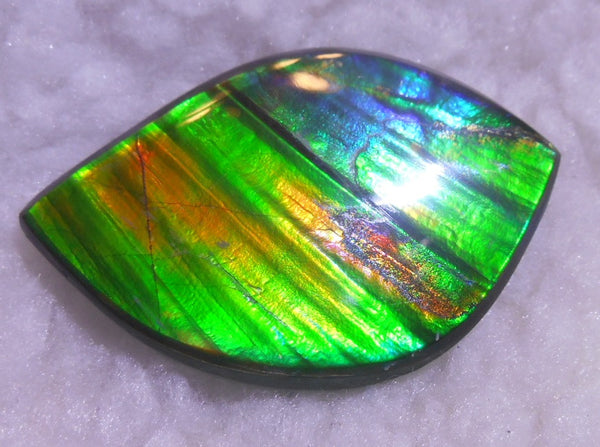 50.5 x 33 x 6  mm  - Large AA Grade Natural  Free Form  FFN 214  Ammolite  AAグレード ナチュラル　ルース　アンモライト フリーフォーム