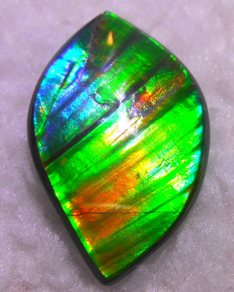 50.5 x 33 x 6  mm  - Large AA Grade Natural  Free Form  FFN 214  Ammolite  AAグレード ナチュラル　ルース　アンモライト フリーフォーム
