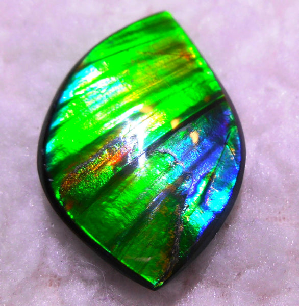 50.5 x 33 x 6  mm  - Large AA Grade Natural  Free Form  FFN 214  Ammolite  AAグレード ナチュラル　ルース　アンモライト フリーフォーム