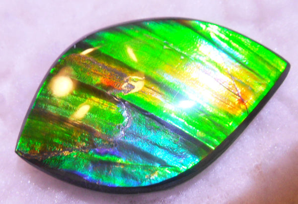 50.5 x 33 x 6  mm  - Large AA Grade Natural  Free Form  FFN 214  Ammolite  AAグレード ナチュラル　ルース　アンモライト フリーフォーム