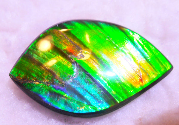 50.5 x 33 x 6  mm  - Large AA Grade Natural  Free Form  FFN 214  Ammolite  AAグレード ナチュラル　ルース　アンモライト フリーフォーム