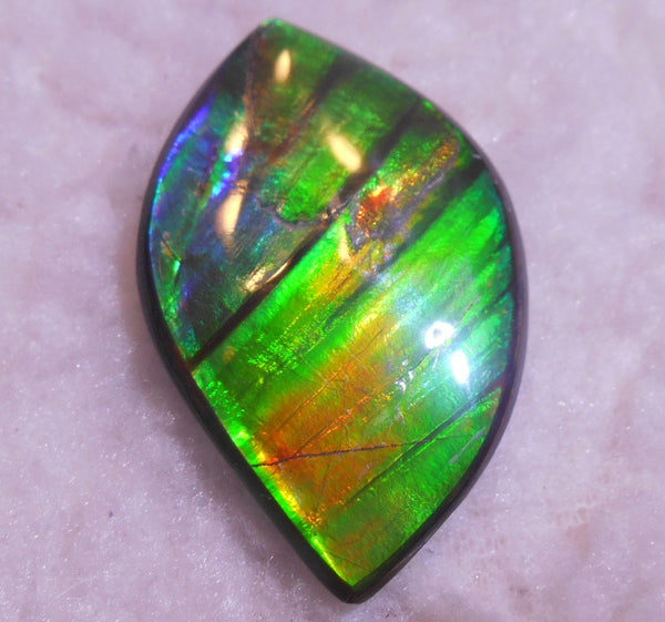 50.5 x 33 x 6  mm  - Large AA Grade Natural  Free Form  FFN 214  Ammolite  AAグレード ナチュラル　ルース　アンモライト フリーフォーム