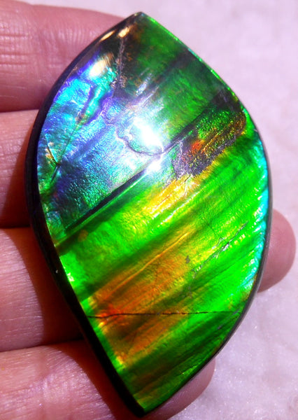 50.5 x 33 x 6  mm  - Large AA Grade Natural  Free Form  FFN 214  Ammolite  AAグレード ナチュラル　ルース　アンモライト フリーフォーム
