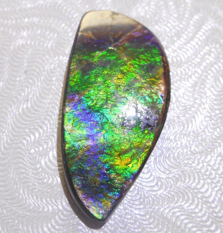 35 x 16 mm - Natural Free Form FFN 90 Ammolite　　ナチュラル　ルース　アンモライト