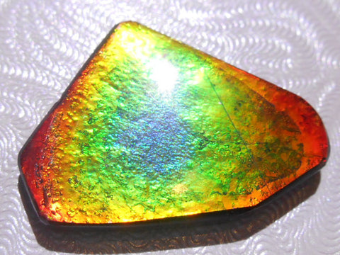 30 x 22 mm - Natural Free Form FFN 88 Ammolite　　ナチュラル　ルース　アンモライト