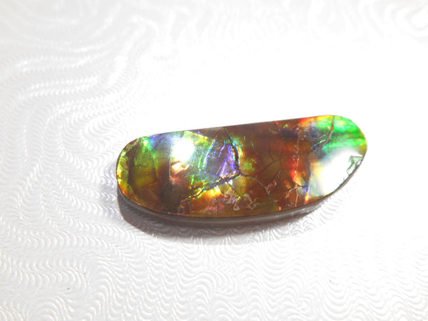 Copy of 35 x 8 mm - Natural Free Form FFN 93 Ammolite　　ナチュラル　ルース　アンモライト