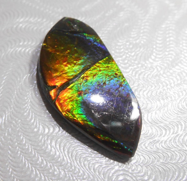 21 x 7 mm - Natural Free Form FFN 96 Ammolite　　ナチュラル　ルース　アンモライト