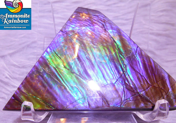 90 x 69 x 5mm　 - Collector Stone - CS-45   コレクショングレード Natural ナチュラル