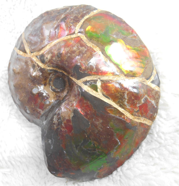 Kintsugi Fossil