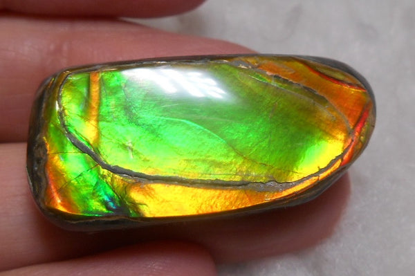 32 x 15 mm Natural  Free Form . FFN 231  Ammolite   ナチュラル　ルース　アンモライト フリーフォーム