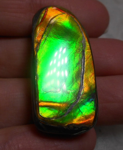 32 x 15 mm Natural  Free Form . FFN 231  Ammolite   ナチュラル　ルース　アンモライト フリーフォーム