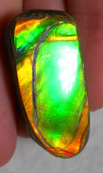 32 x 15 mm Natural  Free Form . FFN 231  Ammolite   ナチュラル　ルース　アンモライト フリーフォーム