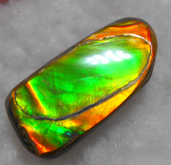 32 x 15 mm Natural  Free Form . FFN 231  Ammolite   ナチュラル　ルース　アンモライト フリーフォーム