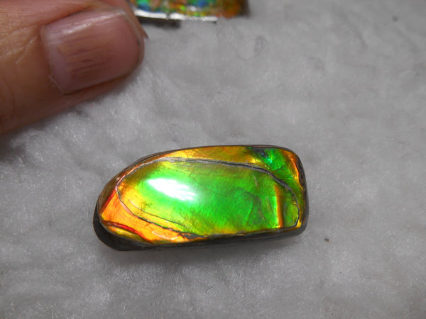32 x 15 mm Natural  Free Form . FFN 231  Ammolite   ナチュラル　ルース　アンモライト フリーフォーム