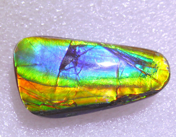 33 x 15 mm - Natural Free Form FFN 133 Ammolite ナチュラル　ルース 　アンモライト　