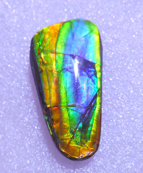 33 x 15 mm - Natural Free Form FFN 133 Ammolite ナチュラル　ルース 　アンモライト　