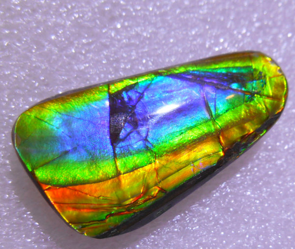 33 x 15 mm - Natural Free Form FFN 133 Ammolite ナチュラル　ルース 　アンモライト　