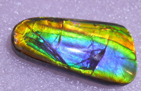 33 x 15 mm - Natural Free Form FFN 133 Ammolite ナチュラル　ルース 　アンモライト　