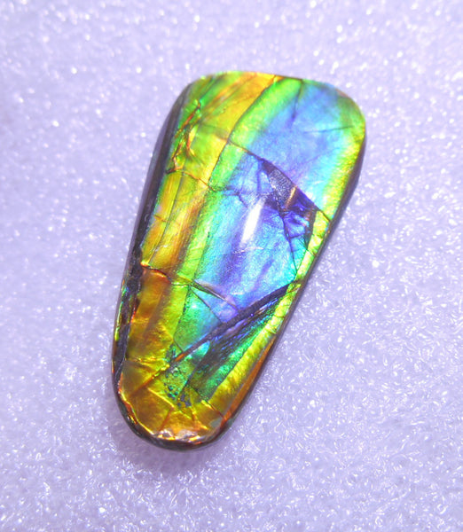 33 x 15 mm - Natural Free Form FFN 133 Ammolite ナチュラル　ルース 　アンモライト　