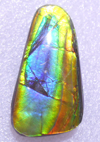 33 x 15 mm - Natural Free Form FFN 133 Ammolite ナチュラル　ルース 　アンモライト　