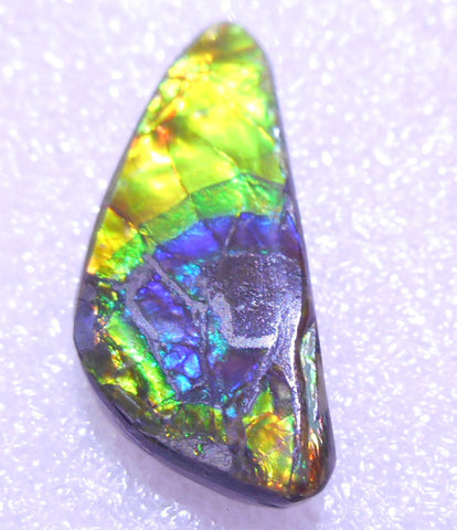 27 x 12  mm - Natural Free Form FFN 135 Ammolite ナチュラル　ルース 　アンモライト　