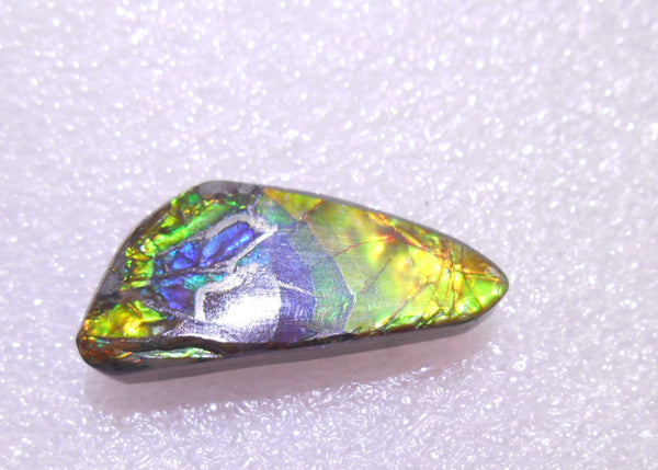 27 x 12  mm - Natural Free Form FFN 135 Ammolite ナチュラル　ルース 　アンモライト　