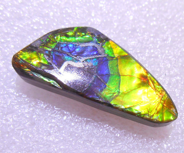 27 x 12  mm - Natural Free Form FFN 135 Ammolite ナチュラル　ルース 　アンモライト　