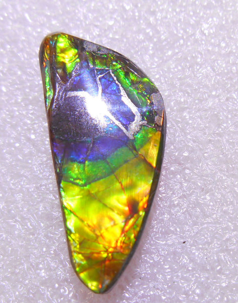 27 x 12  mm - Natural Free Form FFN 135 Ammolite ナチュラル　ルース 　アンモライト　