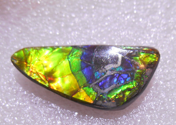 27 x 12  mm - Natural Free Form FFN 135 Ammolite ナチュラル　ルース 　アンモライト　