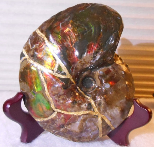 Kintsugi Fossil