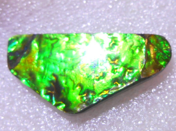 35 x 17 x 4 mm - Natural Free Form FFN 145 Ammolite ナチュラル　ルース 　アンモライト　