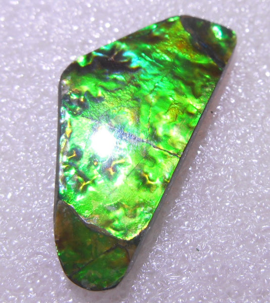 35 x 17 x 4 mm - Natural Free Form FFN 145 Ammolite ナチュラル　ルース 　アンモライト　